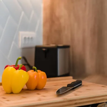 Swedish-style Salz Villa *