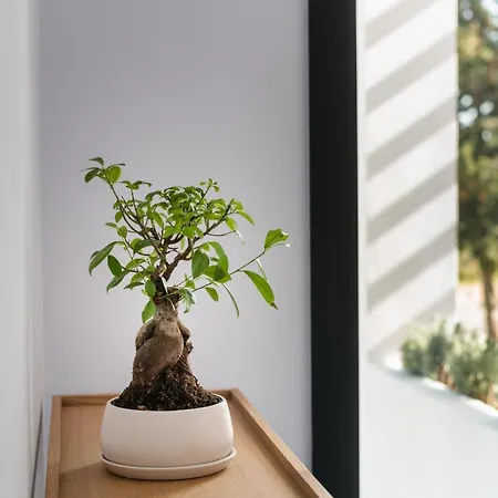 Swedish-style Salz Villa