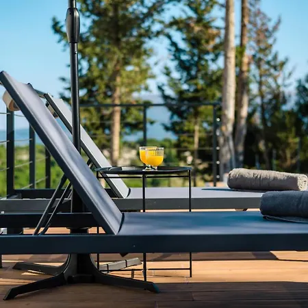 Swedish-style Salz Villa *